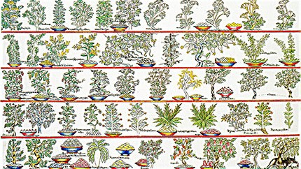 藏藥材資源分布、發(fā)展史